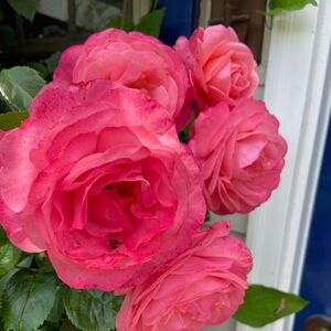 Shop with me and feel beautiful